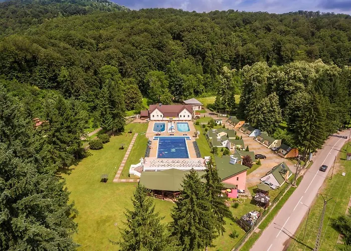 Pensiunea Mayumi Moneasa